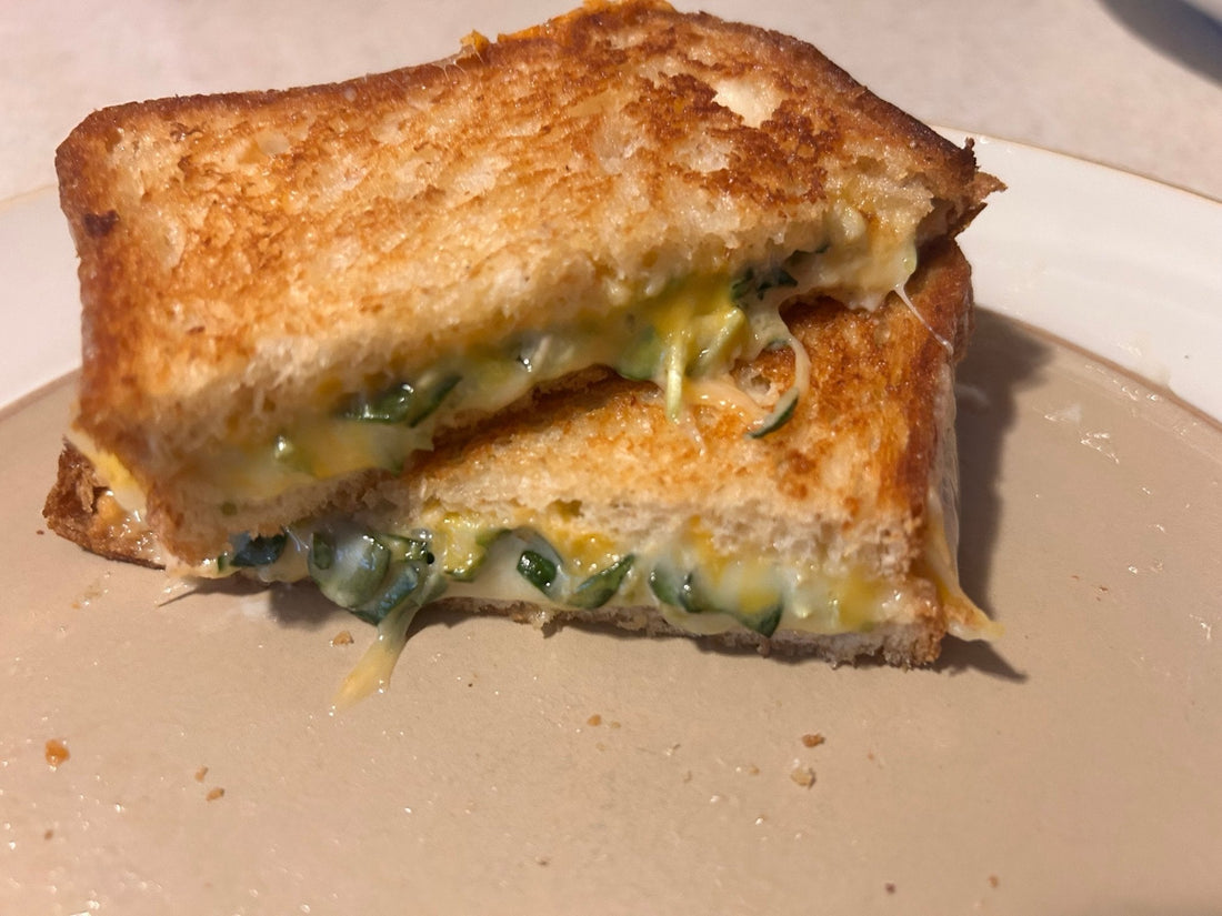 Gooey Microgreen Grilled Cheese Sandwich - Yummy Little Plants