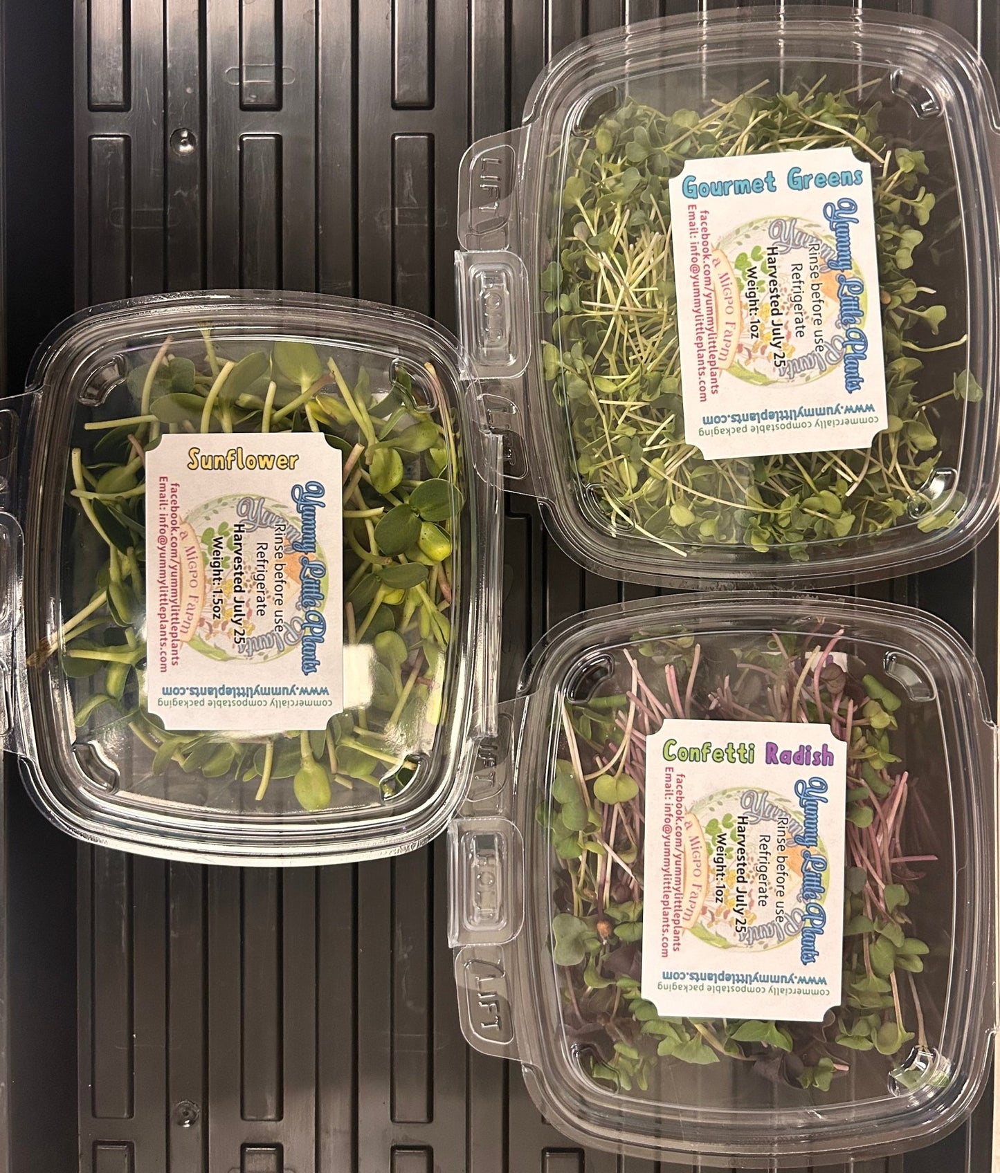 3 - Variety Microgreen Yummy Bundle - Yummy Little Plants - Microgreens