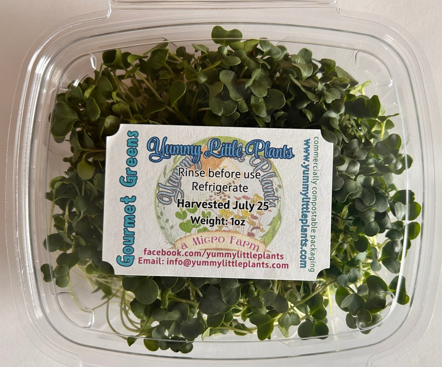 4 - Variety Microgreen Yummy Bundle - Yummy Little Plants - Microgreens