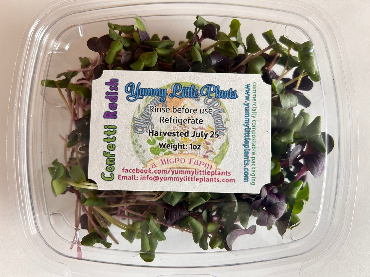 4 - Variety Microgreen Yummy Bundle - Yummy Little Plants - Microgreens