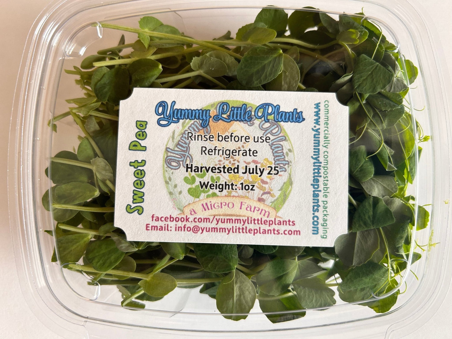 4 - Variety Microgreen Yummy Bundle - Yummy Little Plants - Microgreens