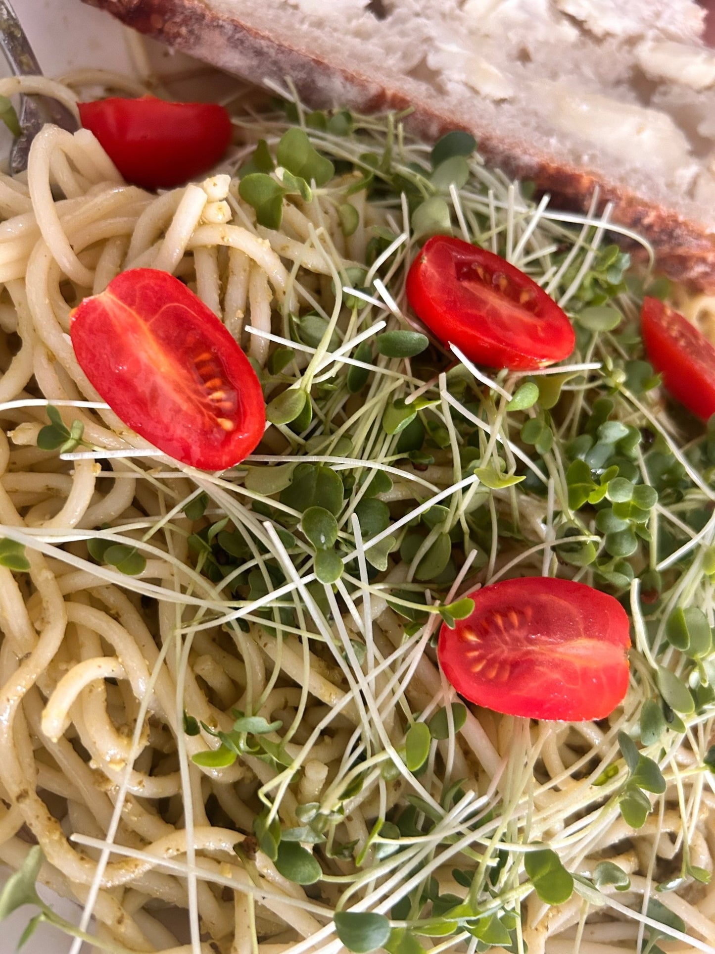 Gourmet Greens (microgreens by the ounce) - Yummy Little Plants - Microgreens