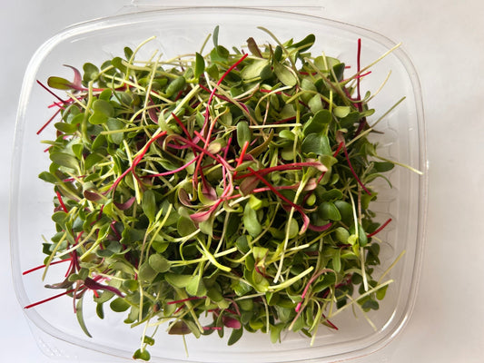 Gourmet Greens (microgreens by the ounce) - Yummy Little Plants - Microgreens