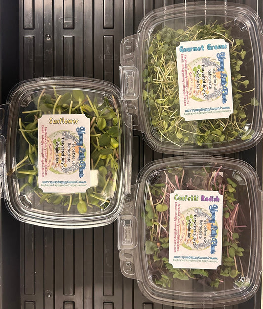3 - Variety Microgreen Yummy Bundle - Yummy Little Plants - Microgreens