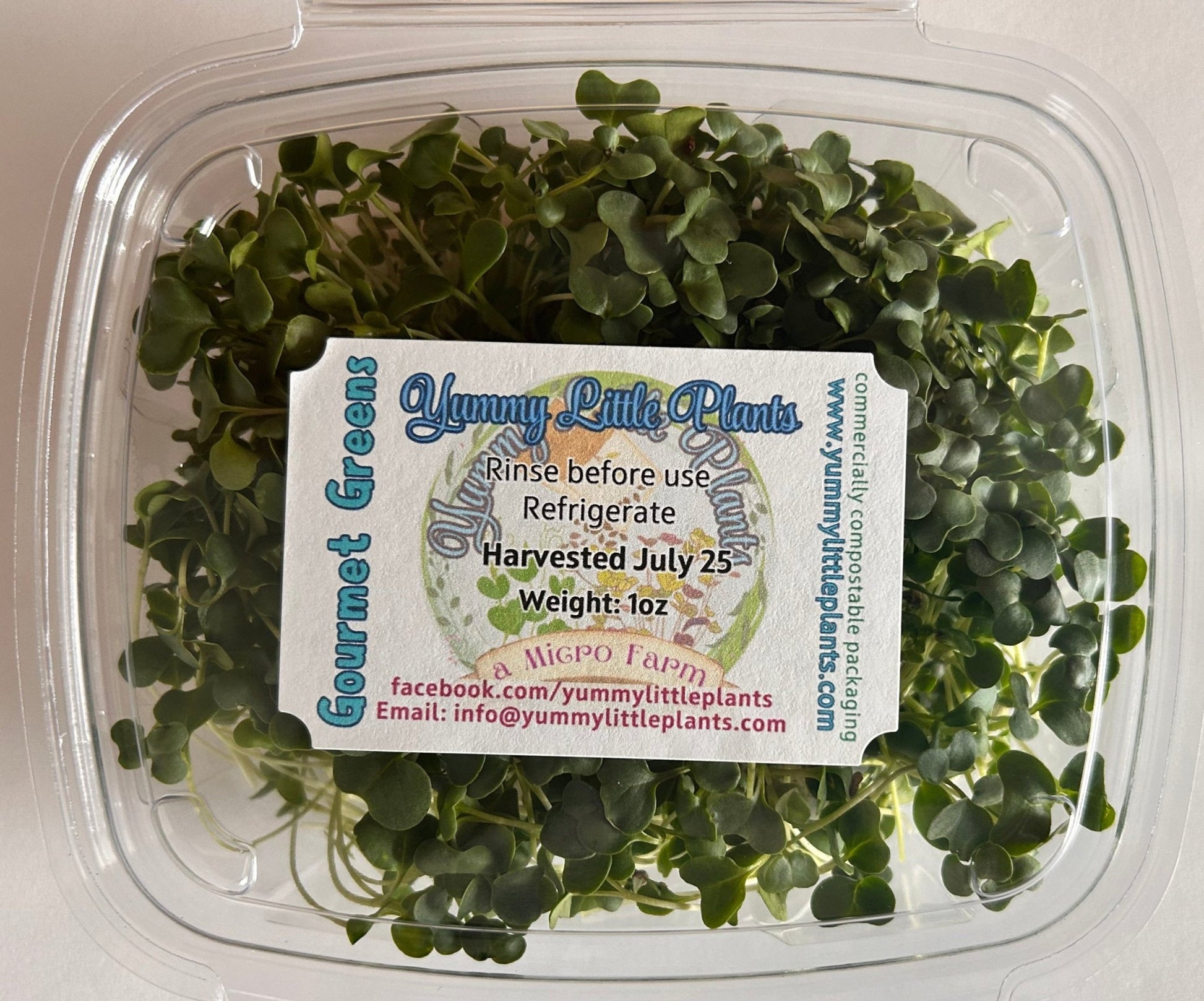 4 - Variety Microgreen Yummy Bundle - Yummy Little Plants - Microgreens