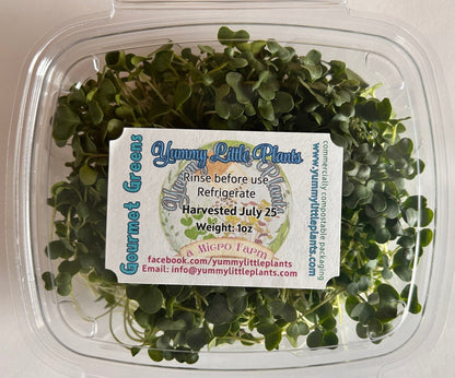4 - Variety Microgreen Yummy Bundle - Yummy Little Plants - Microgreens