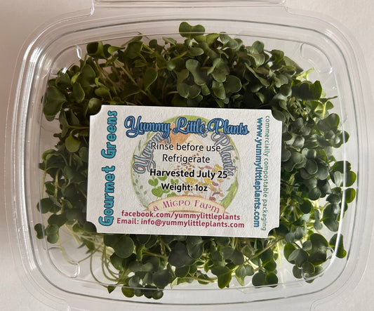4 - Variety Microgreen Yummy Bundle - Yummy Little Plants - Microgreens