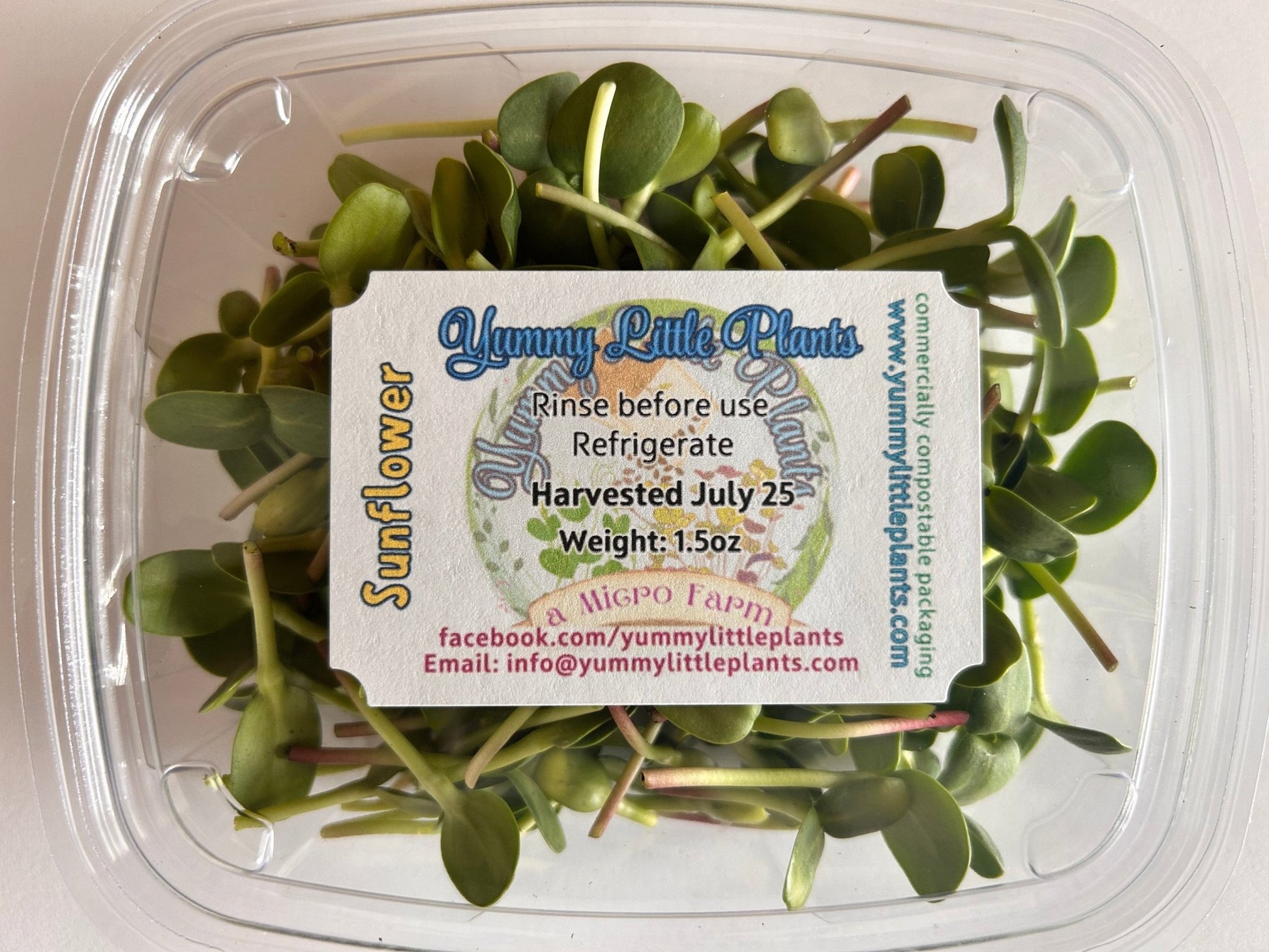 4 - Variety Microgreen Yummy Bundle - Yummy Little Plants - Microgreens