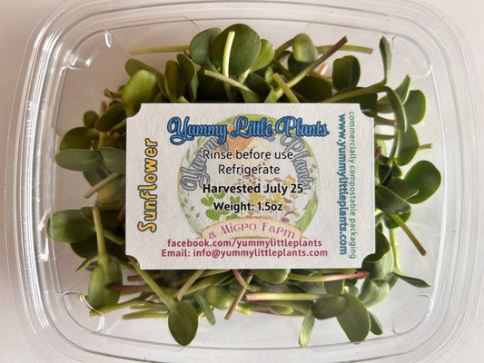 4 - Variety Microgreen Yummy Bundle - Yummy Little Plants - Microgreens