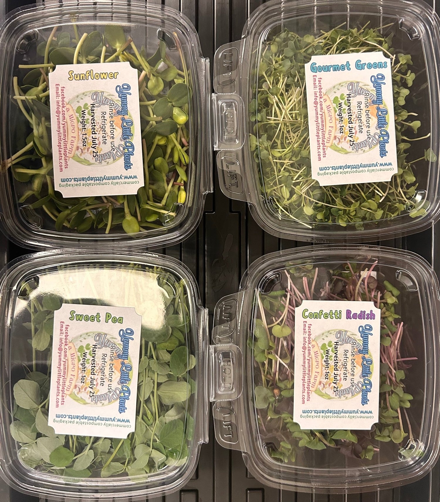 4 - Variety Microgreen Yummy Bundle - Yummy Little Plants - Microgreens