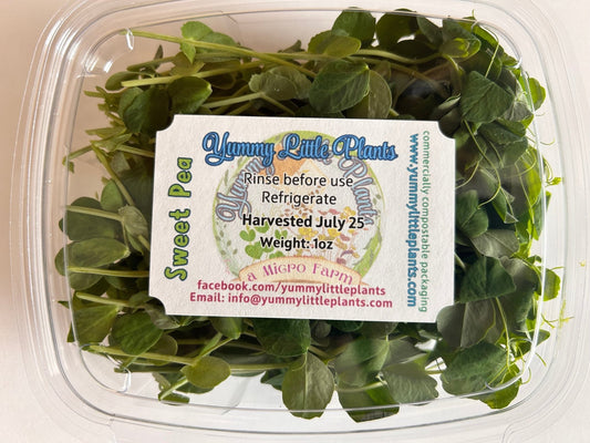 4 - Variety Microgreen Yummy Bundle - Yummy Little Plants - Microgreens