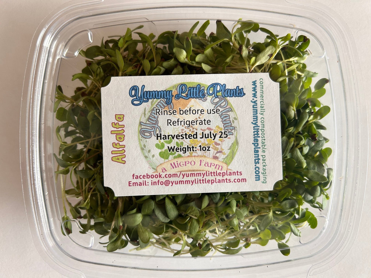 Alfalfa (microgreens by the ounce) - Yummy Little Plants - Microgreens
