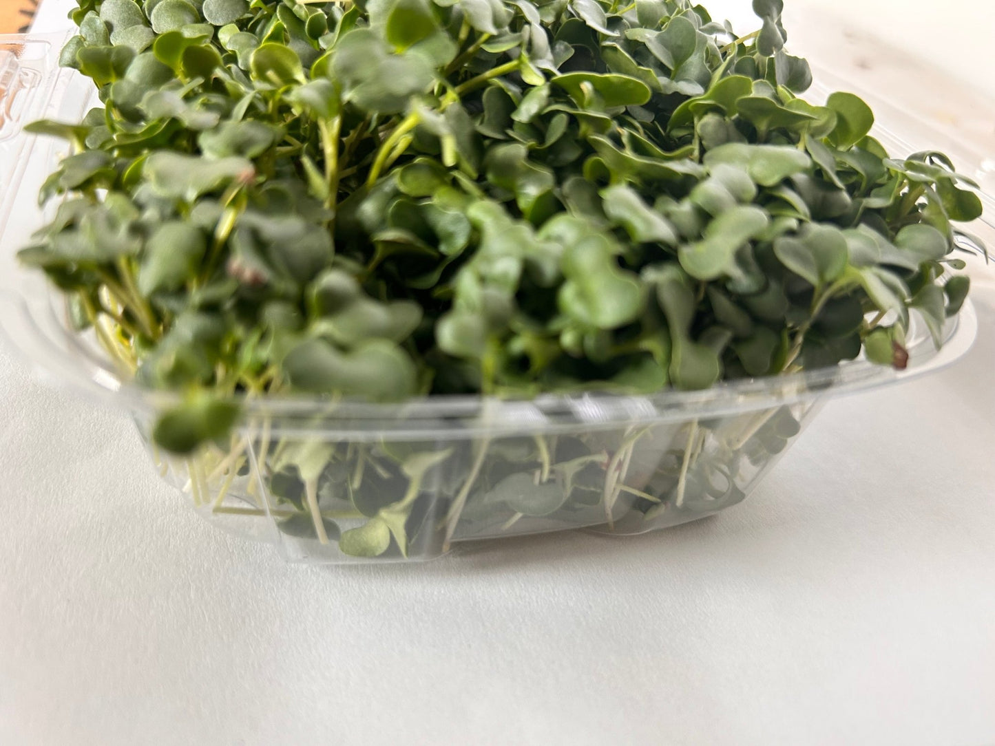 Broccoli (microgreens by the ounce) - Yummy Little Plants - Microgreens
