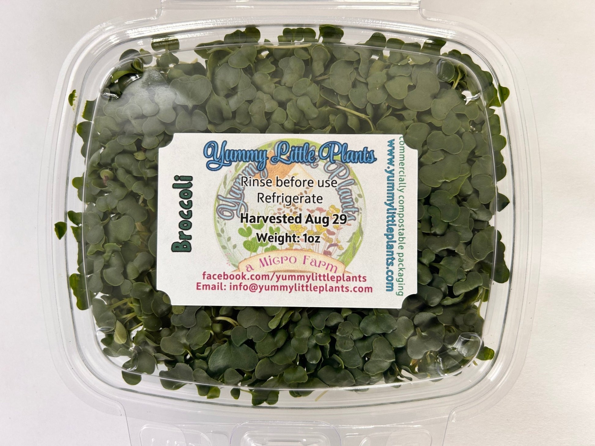 Broccoli (microgreens by the ounce) - Yummy Little Plants - Microgreens