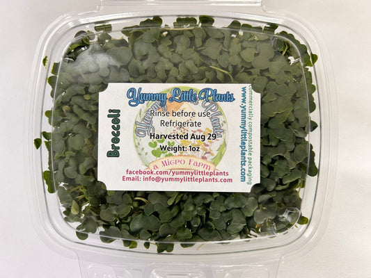 Broccoli (microgreens by the ounce) - Yummy Little Plants - Microgreens