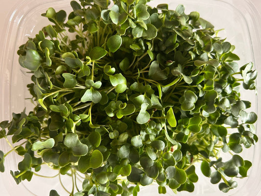 Gourmet Greens (microgreens by the ounce) - Yummy Little Plants - Microgreens