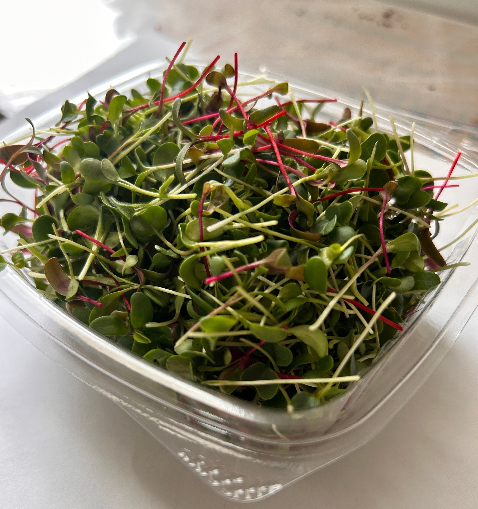 Gourmet Greens (microgreens by the ounce) - Yummy Little Plants - Microgreens